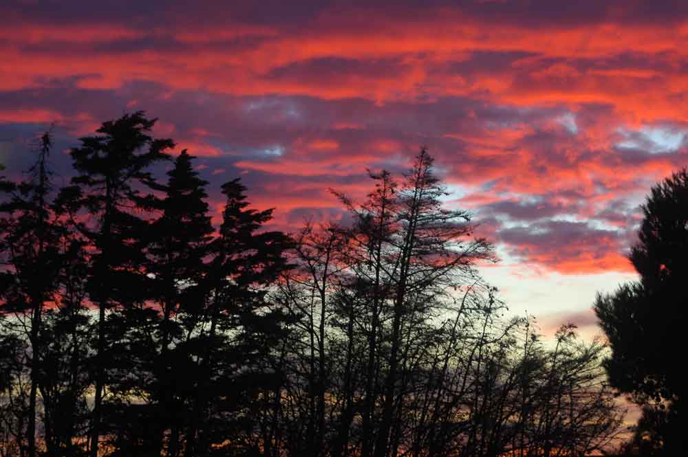 Argentina 112 - península Valdes - Puerto Madryn - amanecer.jpg